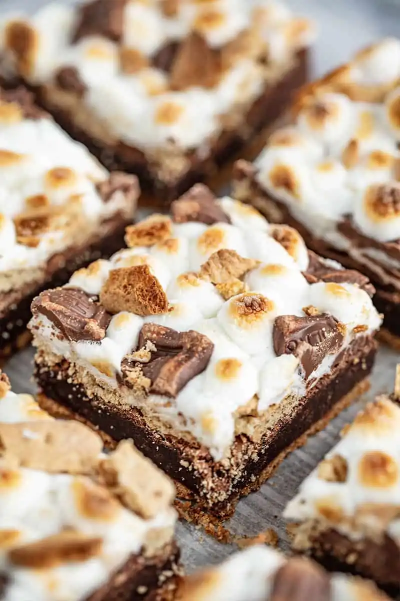 S’mores Brownies: Gooey, Toasted Perfection in Every Single Bite